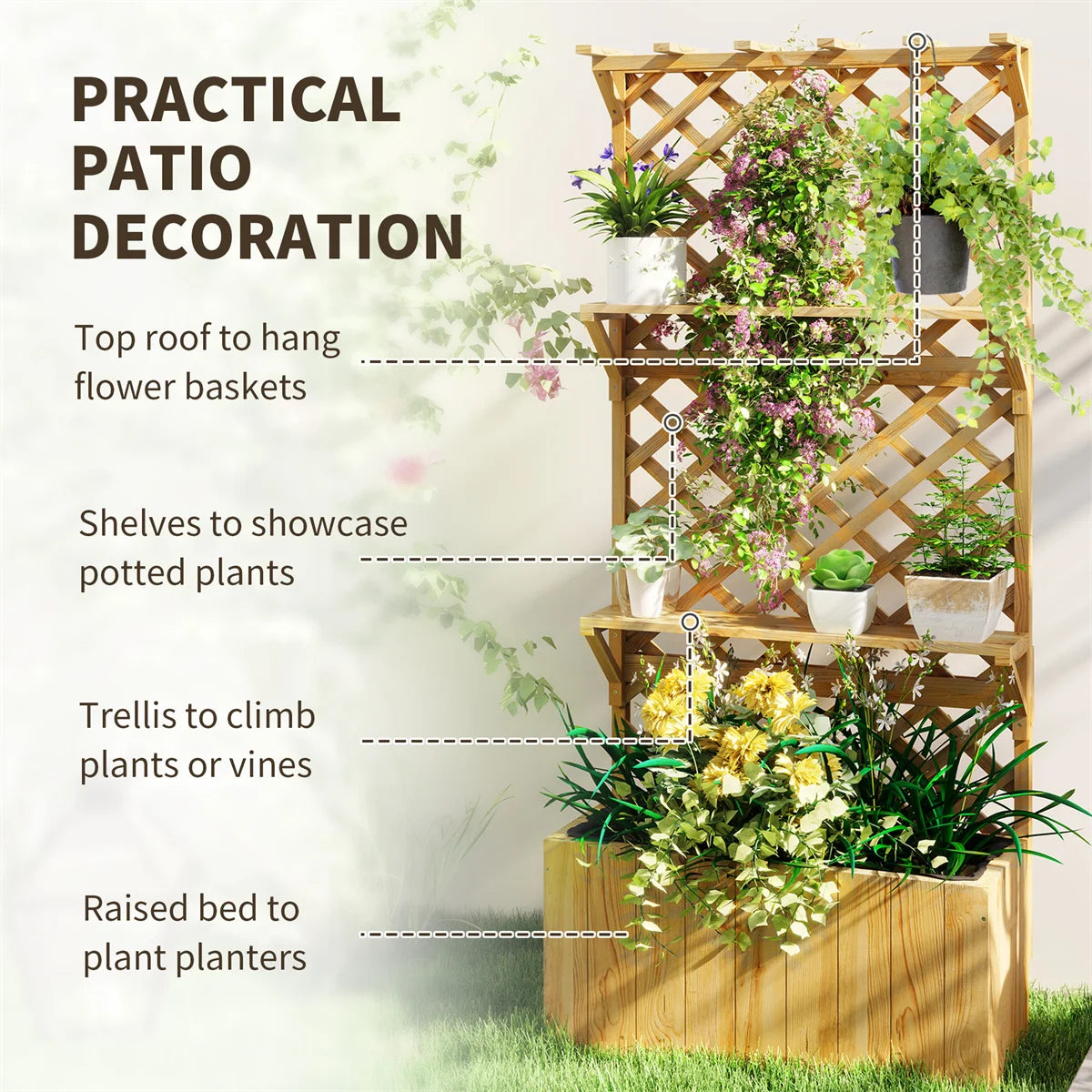 Garden Plant Climber