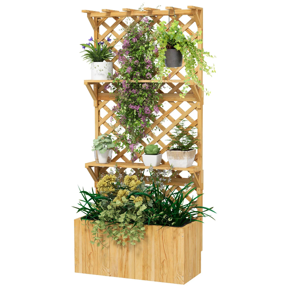 Garden Plant Climber